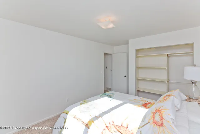 a bedroom with a bed and a closet