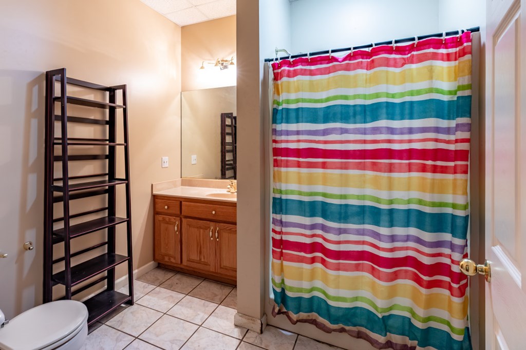 7 Spring Road Blairsville, GA 30512 - Photo 30 of 56 Full Bathroom/Basement Level