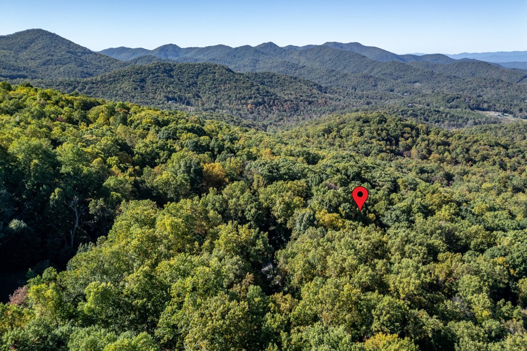 7 Spring Road Blairsville, GA 30512 - Photo 48 of 56