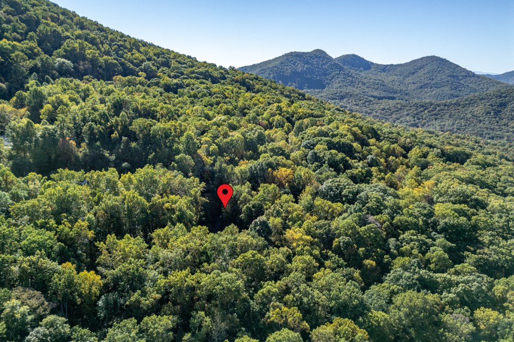 7 Spring Road Blairsville, GA 30512 - Photo 49 of 56 a view of a lush green field with a tree in the background