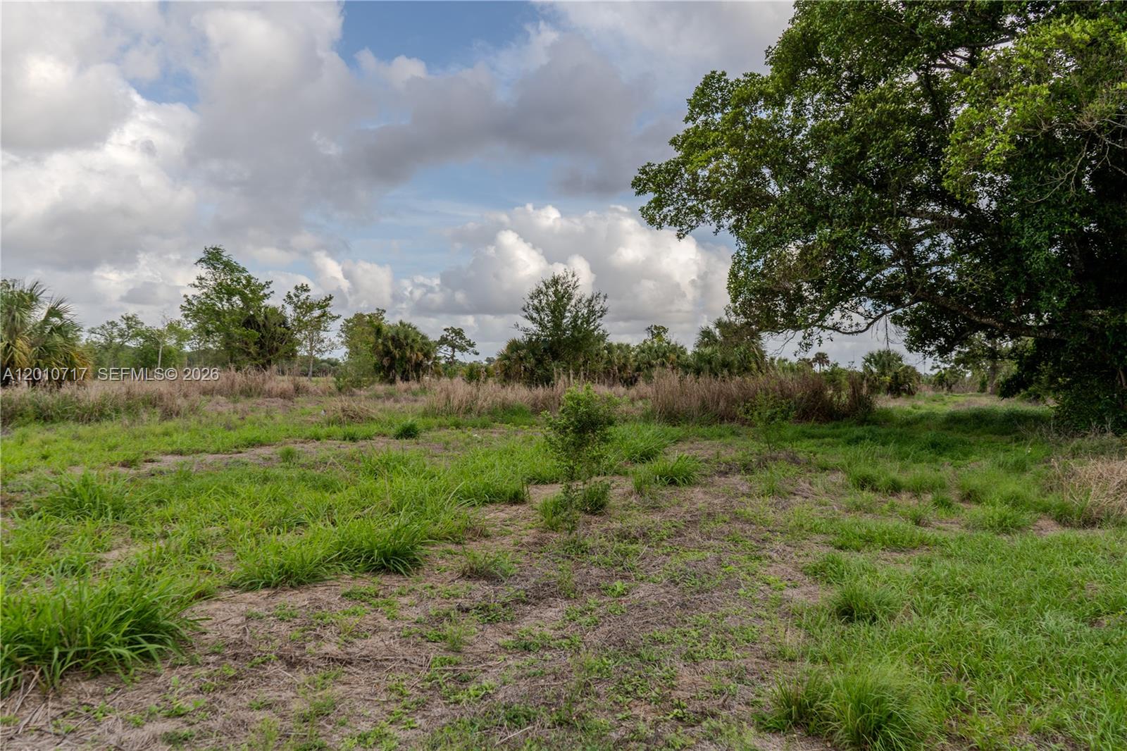3921 Fort Denaud Road LaBelle, FL 33935 - Photo 3 of 4 a view of a field of grass and trees