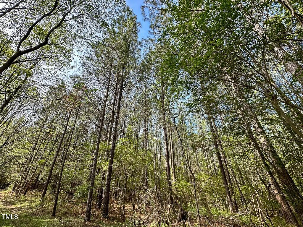 0 Rifle Range Road Warrenton, NC 27589 - Photo 15 of 38 tempImage5BuKYM