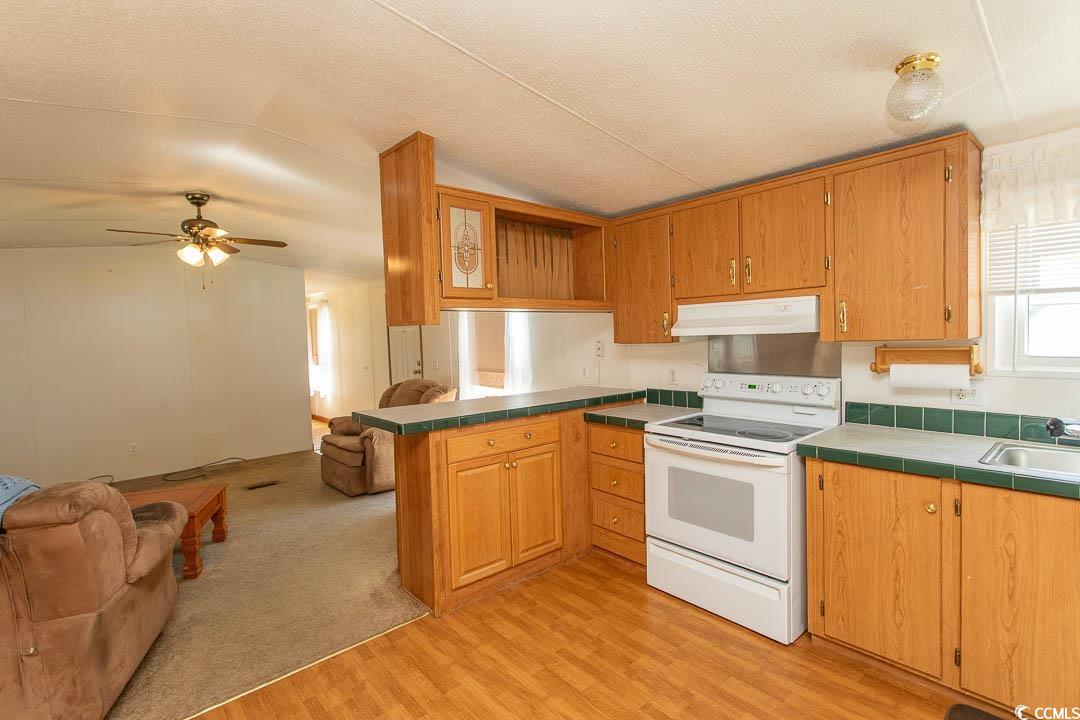 67 Crooked Island Circle Murrells Inlet, SC 29576 - Photo 10 of 37