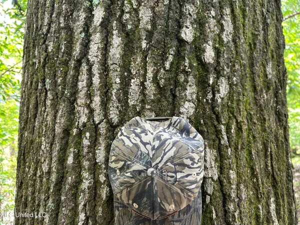 $543,725 | Brahan Road, Coahoma, MS 38617