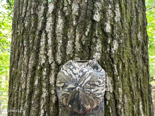 $543,725 | Brahan Road, Coahoma, MS 38617