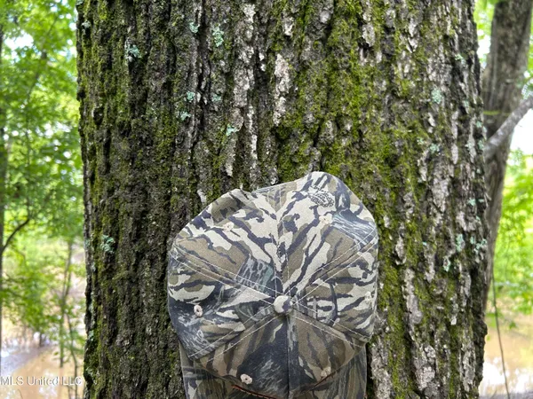 $543,725 | Brahan Road, Coahoma, MS 38617