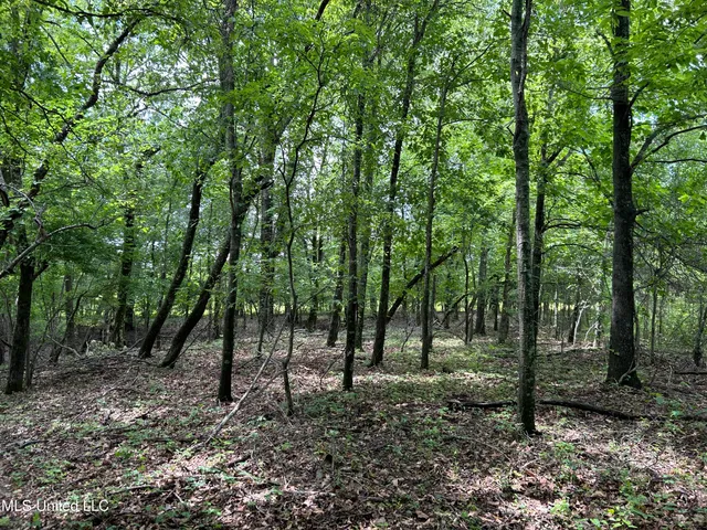 $543,725 | Brahan Road, Coahoma, MS 38617