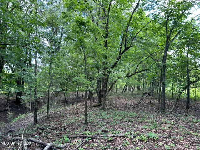 $543,725 | Brahan Road, Coahoma, MS 38617