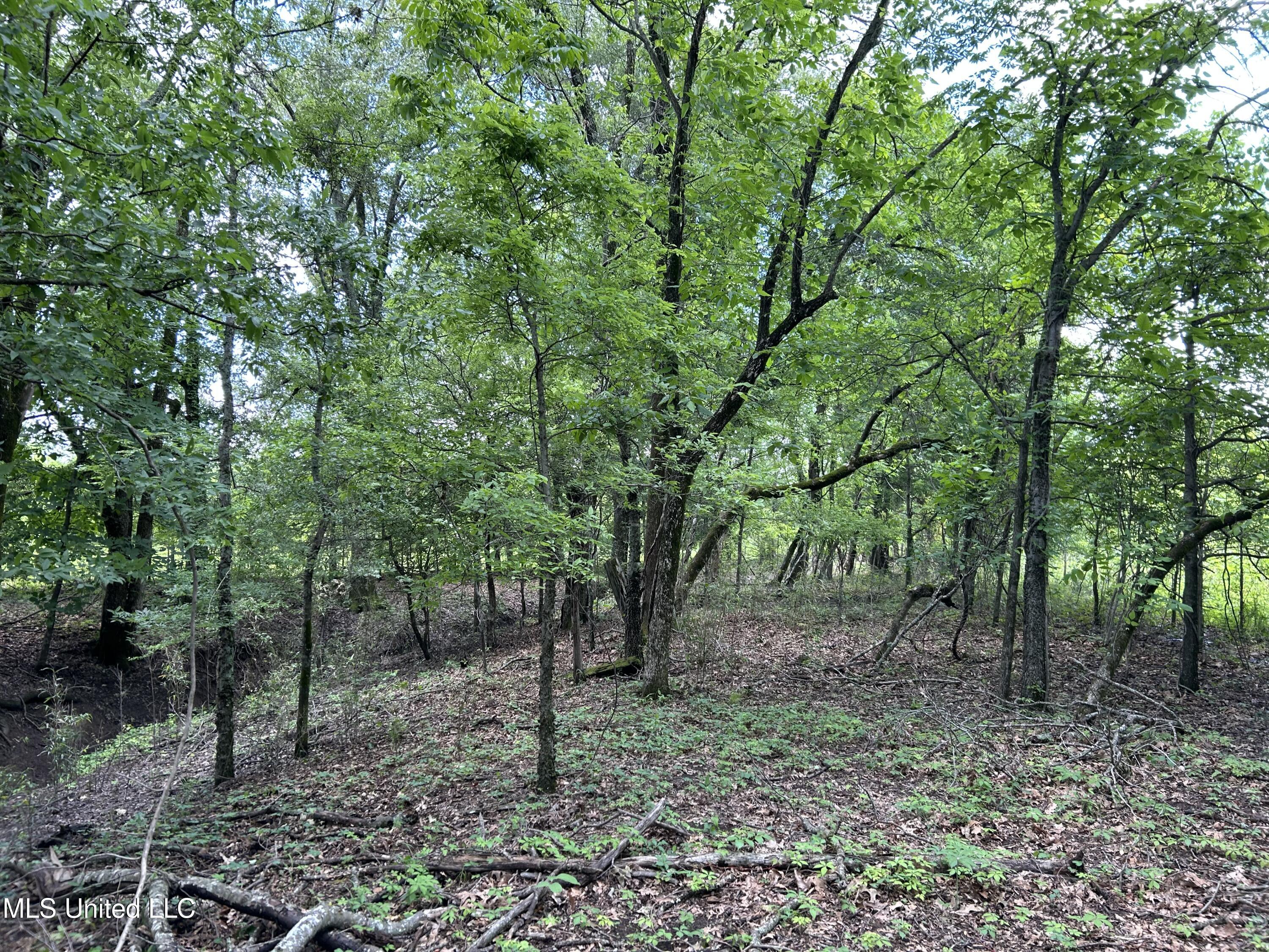 Brahan Road Coahoma, MS 38617 - Photo 14 of 49 Photo May 13 2025, 1 12 50 PM