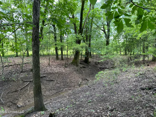 $543,725 | Brahan Road, Coahoma, MS 38617