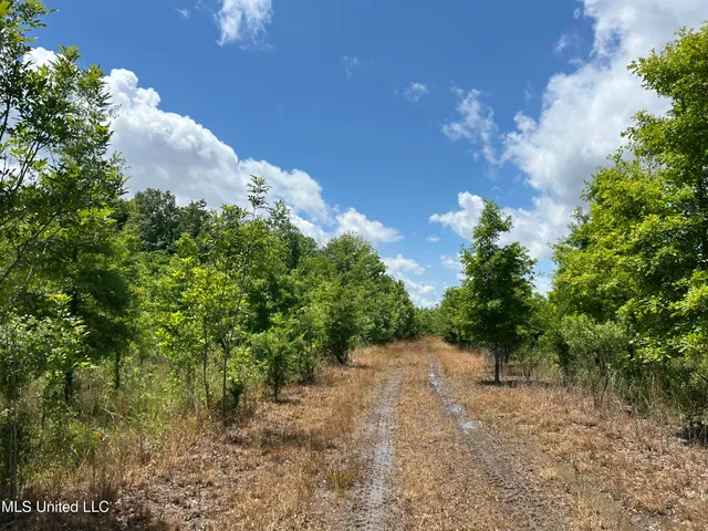 $543,725 | Brahan Road, Coahoma, MS 38617