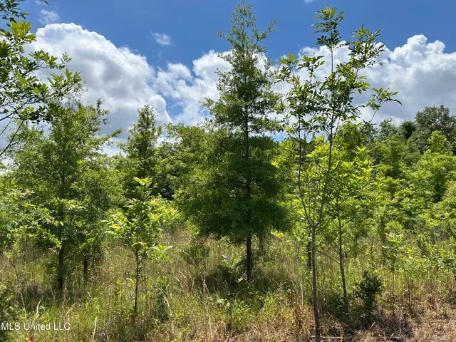 $543,725 | Brahan Road, Coahoma, MS 38617