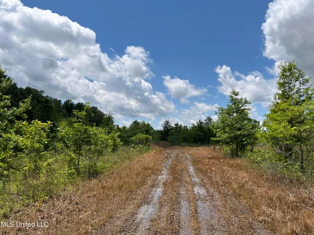 $543,725 | Brahan Road, Coahoma, MS 38617