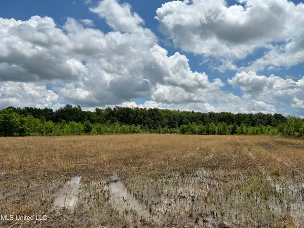 $543,725 | Brahan Road, Coahoma, MS 38617