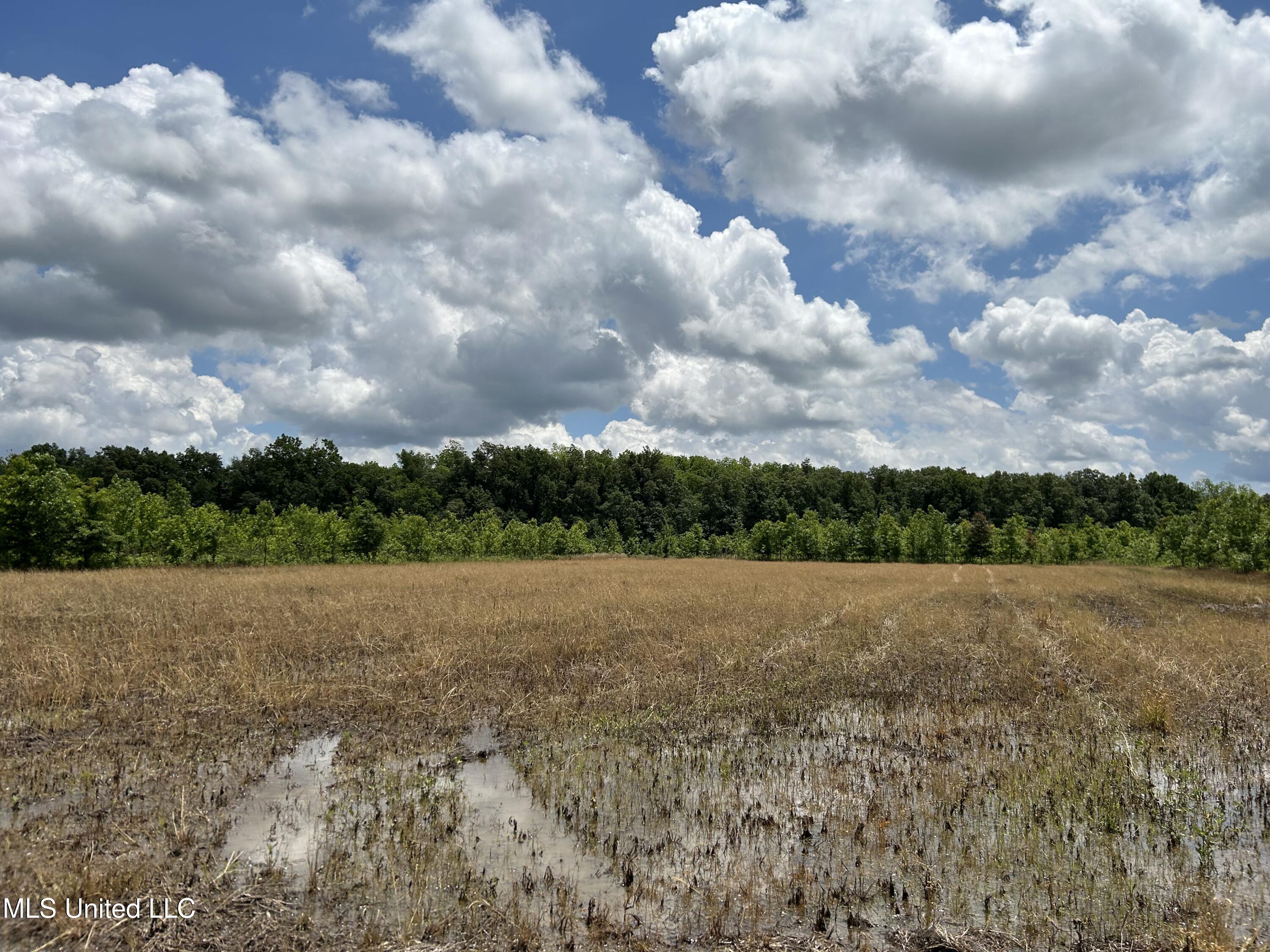 Brahan Road Coahoma, MS 38617 - Photo 20 of 49 Photo May 13 2025, 1 20 48 PM