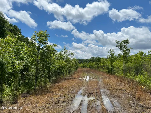 $543,725 | Brahan Road, Coahoma, MS 38617