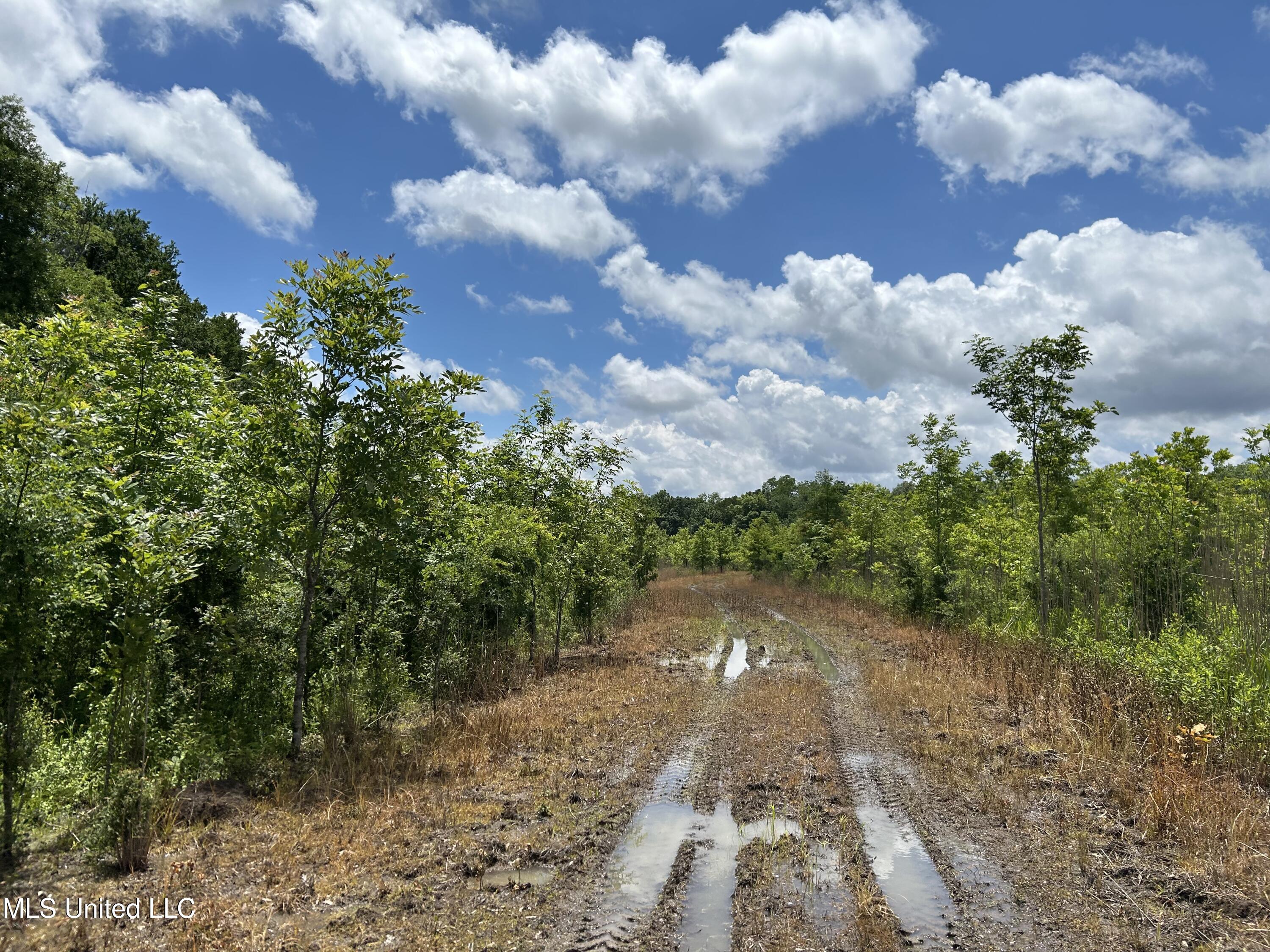 Brahan Road Coahoma, MS 38617 - Photo 2 of 49 Photo May 13 2025, 1 05 33 PM
