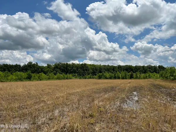 $543,725 | Brahan Road, Coahoma, MS 38617