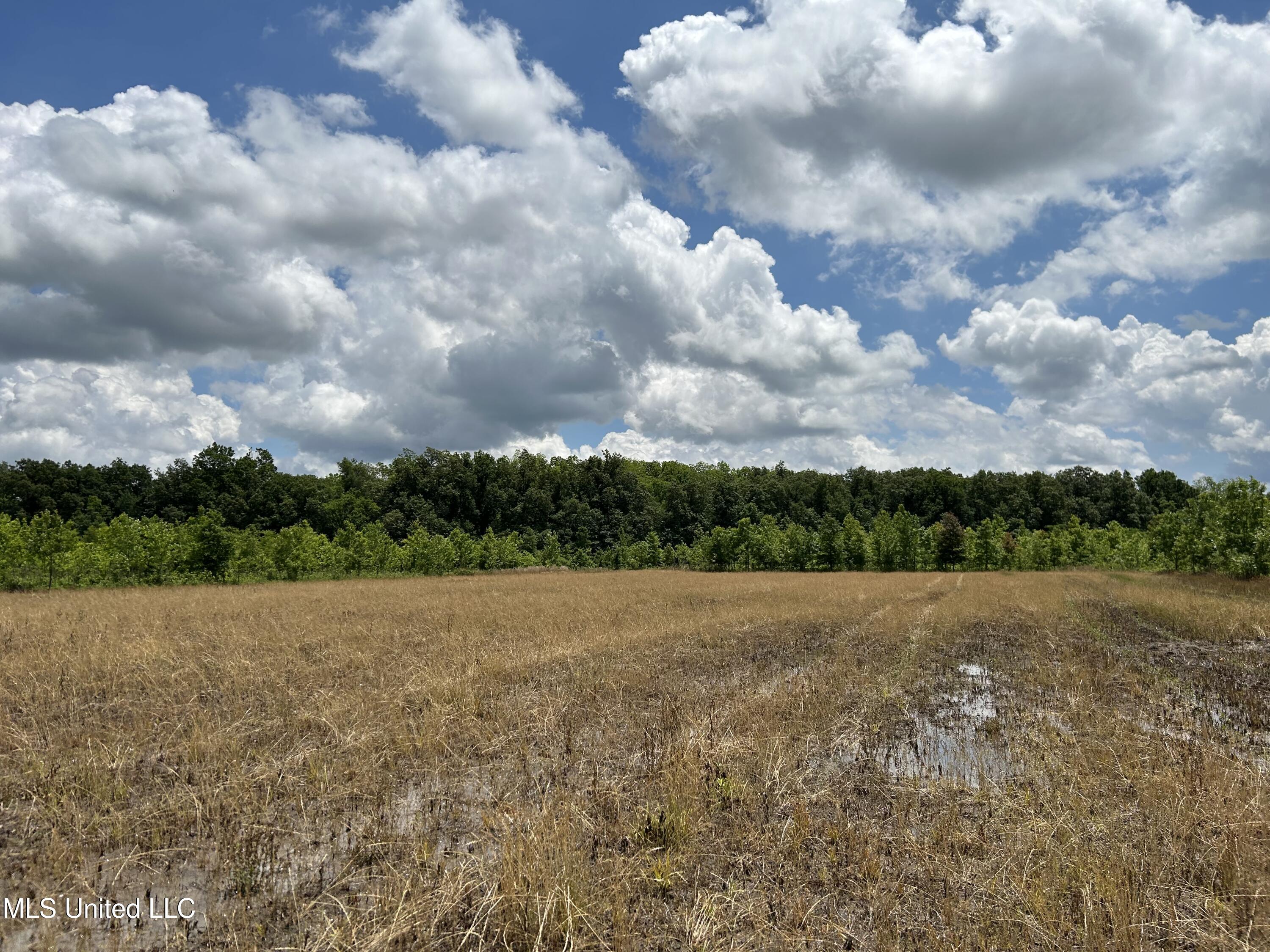 Brahan Road Coahoma, MS 38617 - Photo 21 of 49 Photo May 13 2025, 1 20 57 PM