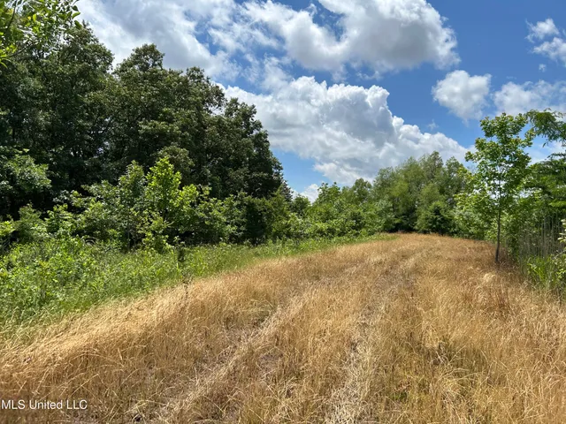 $543,725 | Brahan Road, Coahoma, MS 38617