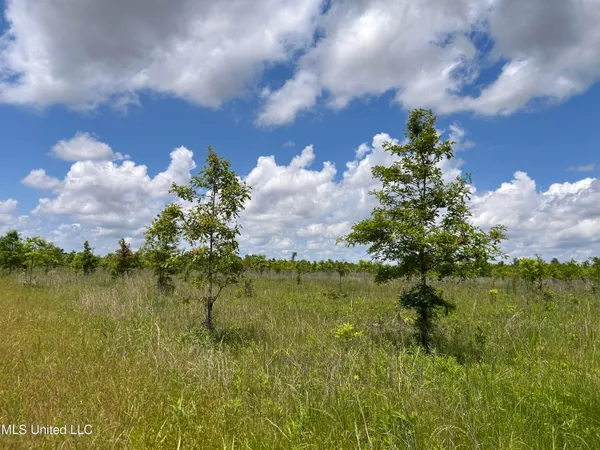 $543,725 | Brahan Road, Coahoma, MS 38617