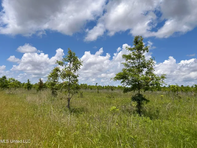 $543,725 | Brahan Road, Coahoma, MS 38617