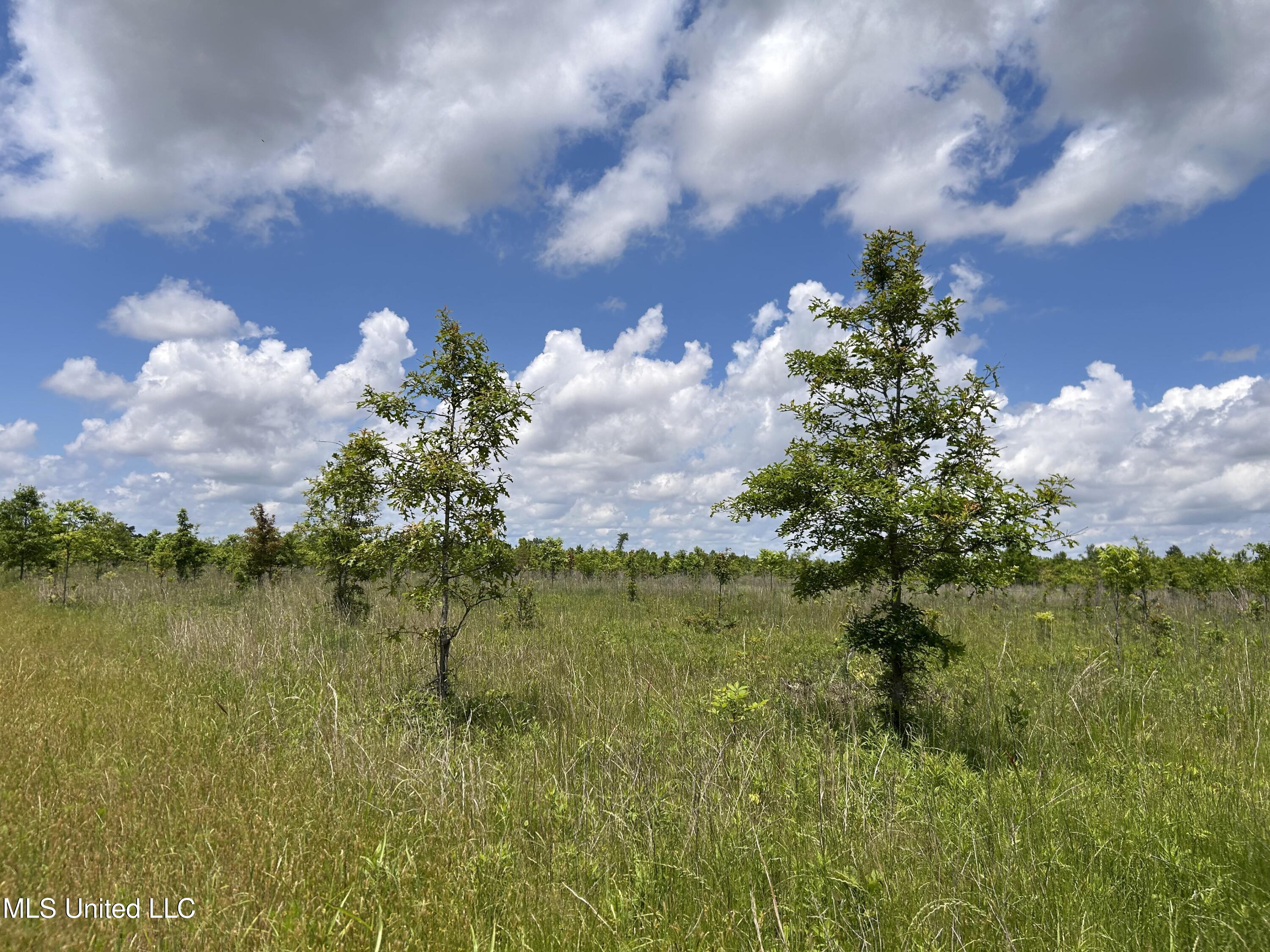 Brahan Road Coahoma, MS 38617 - Photo 24 of 49 Photo May 13 2025, 1 27 45 PM