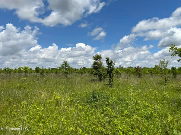 $543,725 | Brahan Road, Coahoma, MS 38617