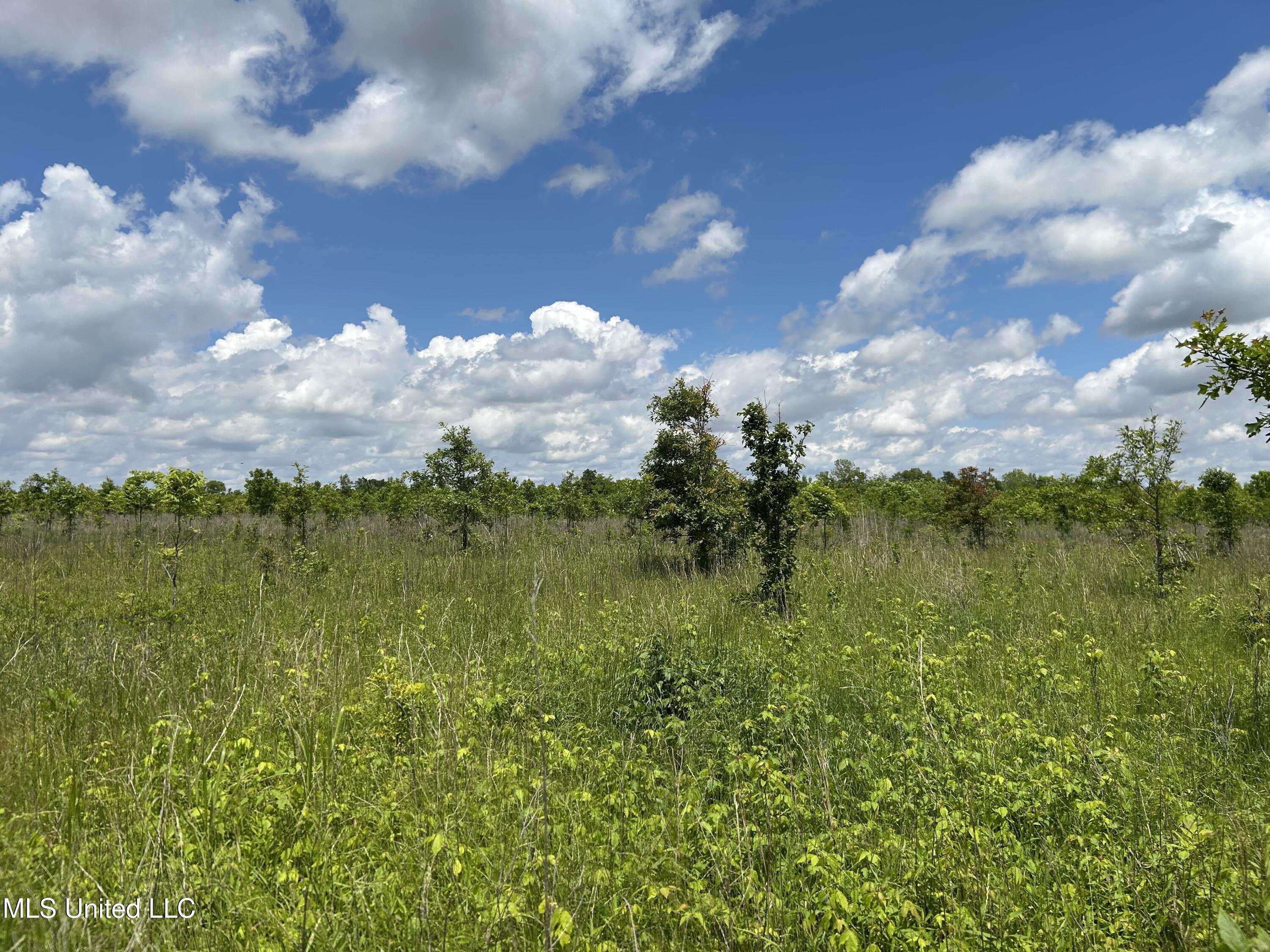 Brahan Road Coahoma, MS 38617 - Photo 25 of 49 Photo May 13 2025, 1 27 48 PM