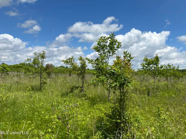 $543,725 | Brahan Road, Coahoma, MS 38617