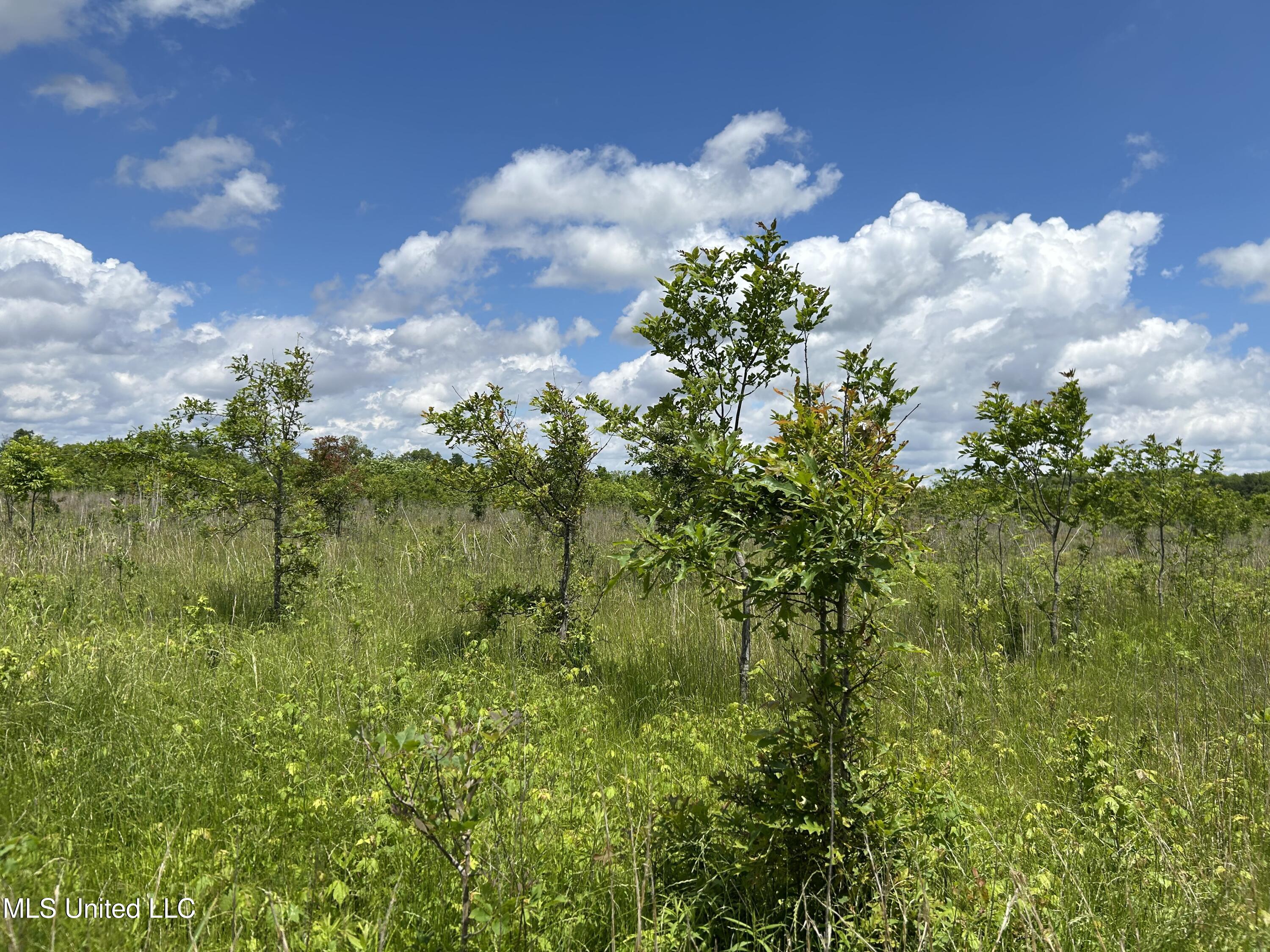 Brahan Road Coahoma, MS 38617 - Photo 26 of 49 Photo May 13 2025, 1 27 54 PM