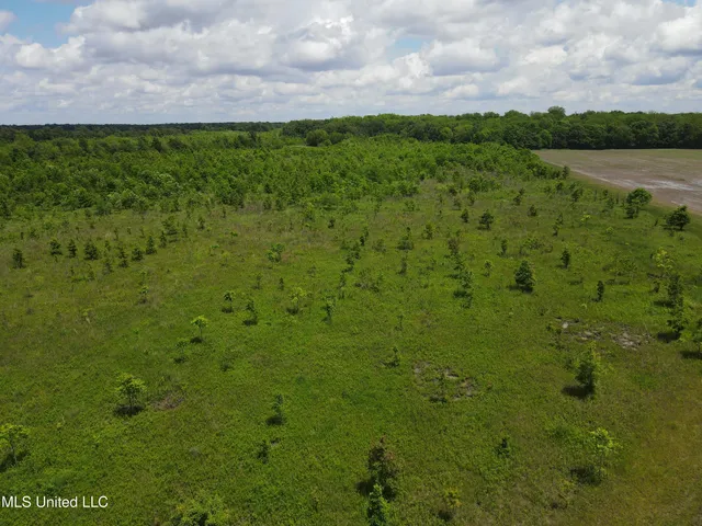 $543,725 | Brahan Road, Coahoma, MS 38617