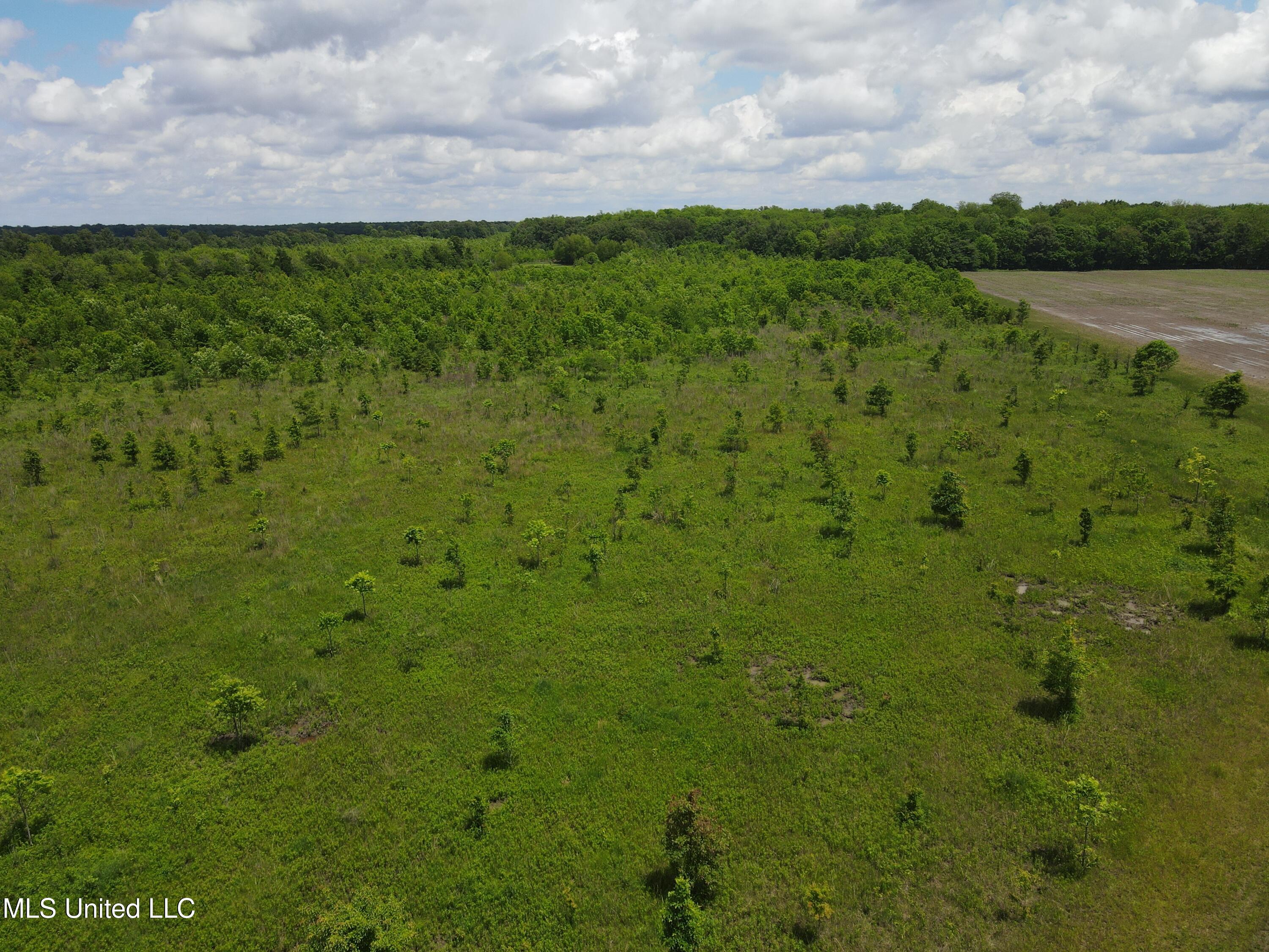 Brahan Road Coahoma, MS 38617 - Photo 27 of 49 Photo May 13 2025, 1 30 30 PM