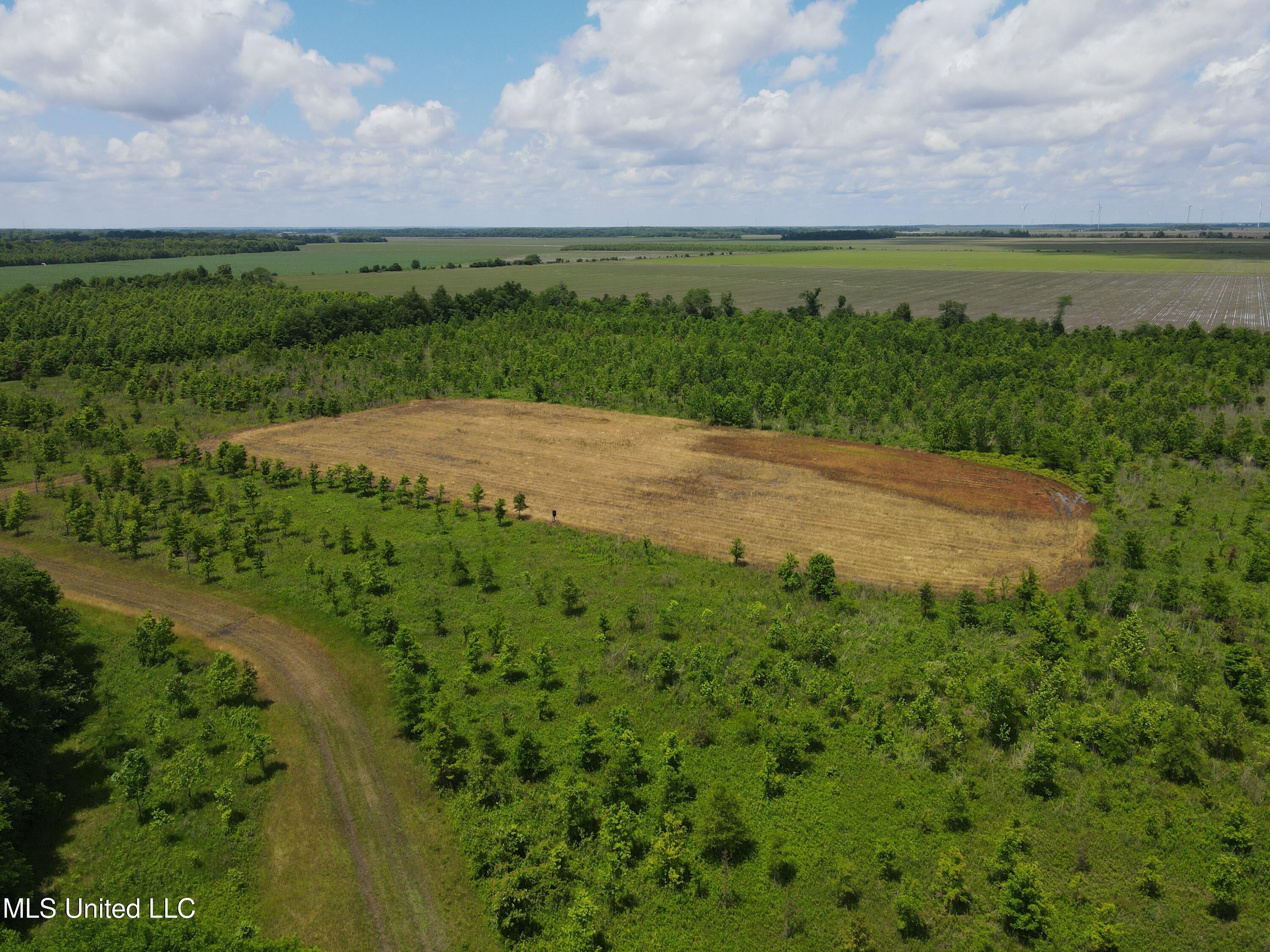 Brahan Road Coahoma, MS 38617 - Photo 28 of 49 Photo May 13 2025, 1 30 35 PM
