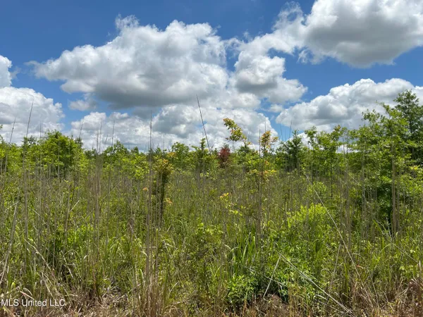 $543,725 | Brahan Road, Coahoma, MS 38617