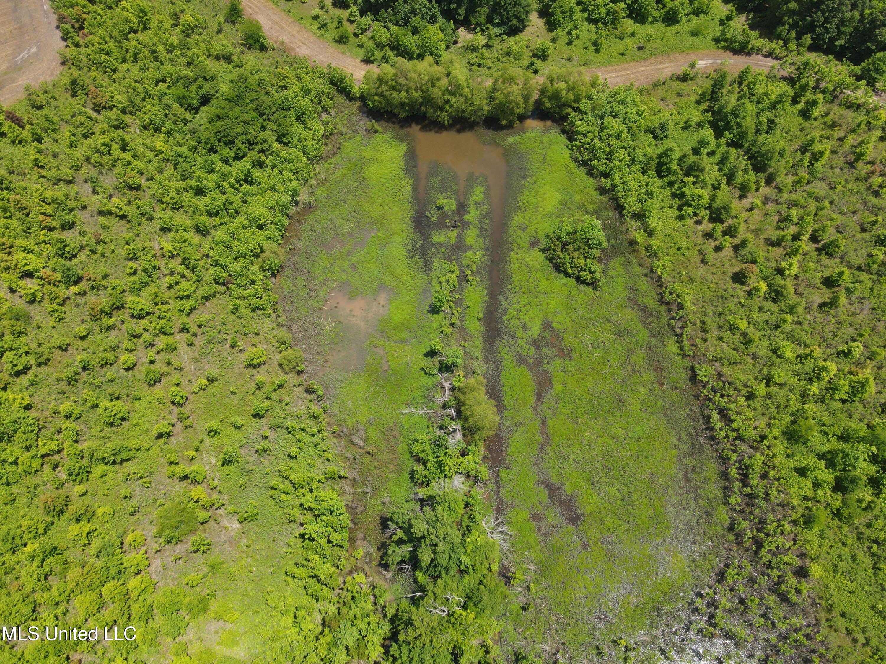 Brahan Road Coahoma, MS 38617 - Photo 32 of 49 Photo May 13 2025, 1 32 21 PM