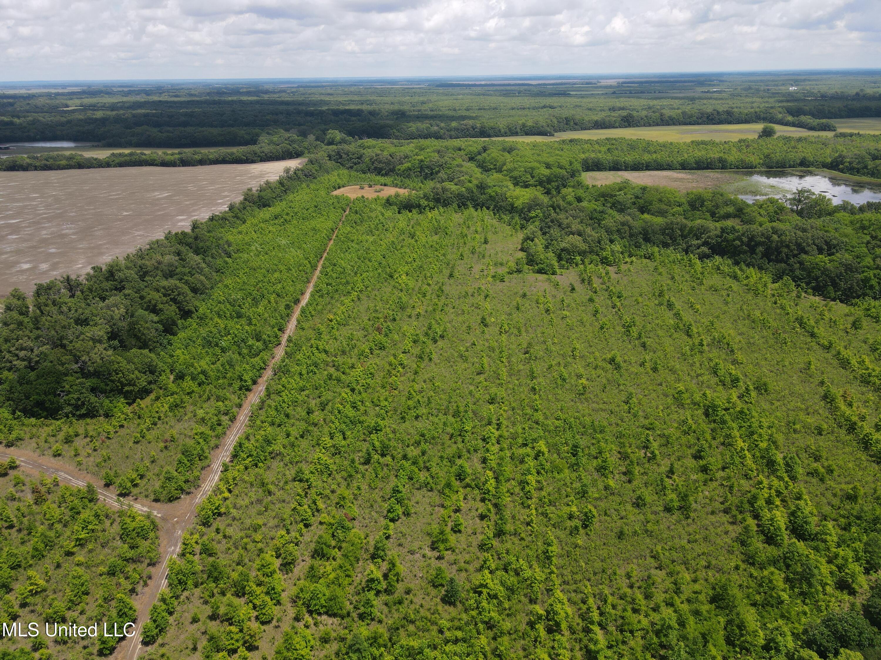 Brahan Road Coahoma, MS 38617 - Photo 36 of 49 Photo May 13 2025, 1 33 04 PM