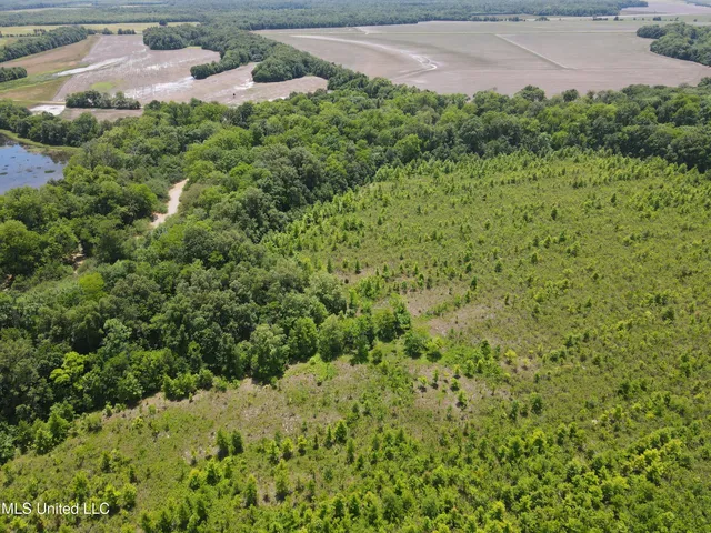 $543,725 | Brahan Road, Coahoma, MS 38617