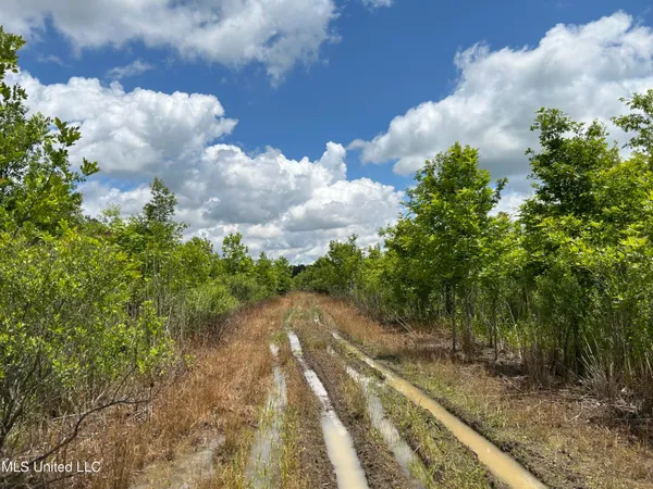 $543,725 | Brahan Road, Coahoma, MS 38617