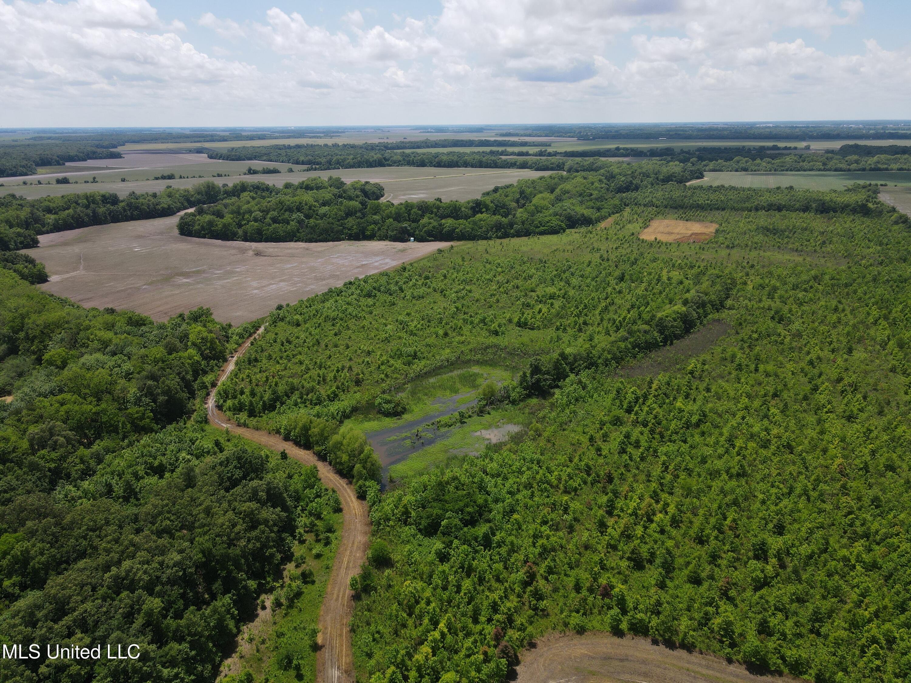 Brahan Road Coahoma, MS 38617 - Photo 42 of 49 Photo May 13 2025, 1 35 03 PM