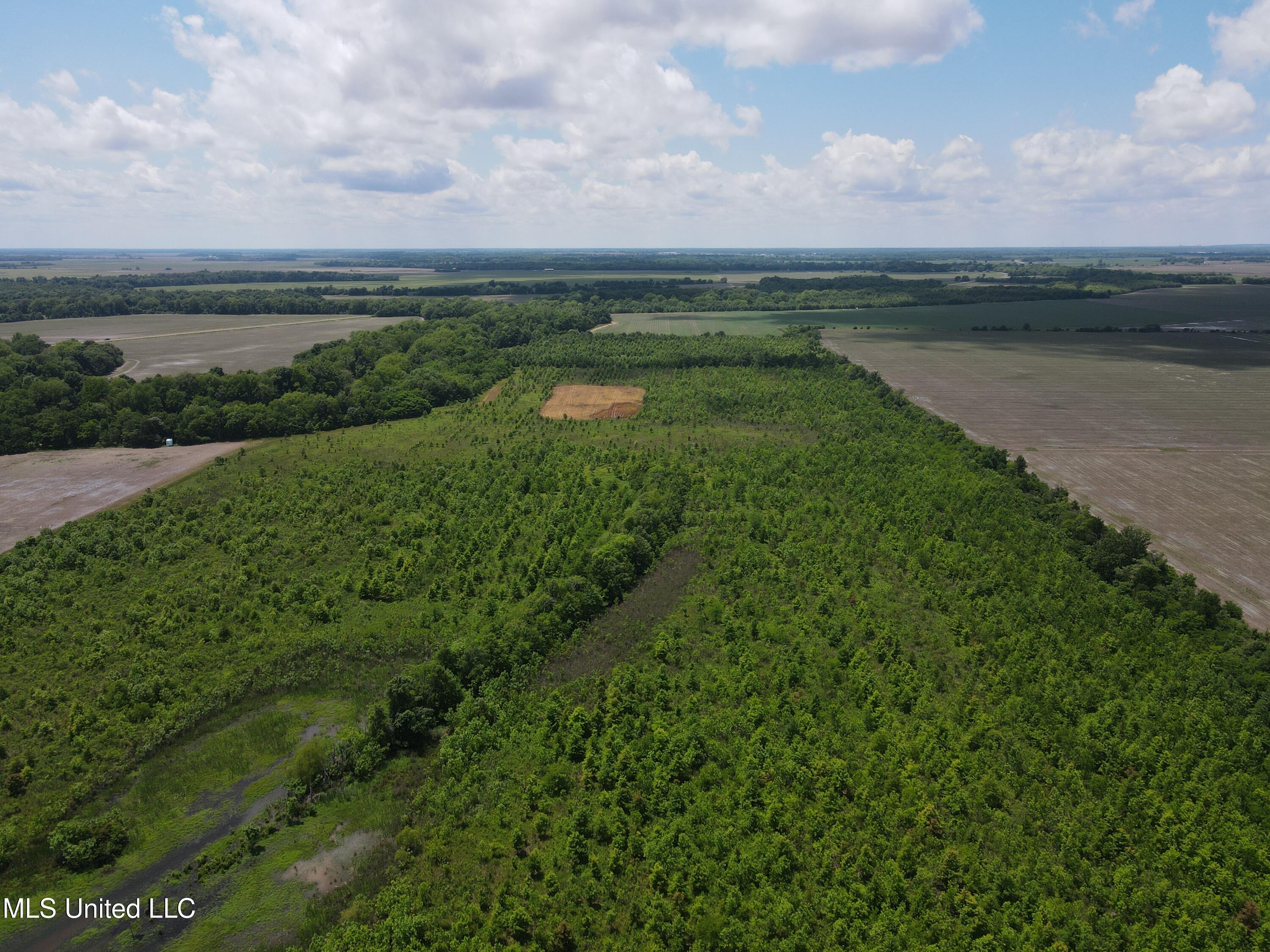 Brahan Road Coahoma, MS 38617 - Photo 43 of 49 Photo May 13 2025, 1 35 10 PM