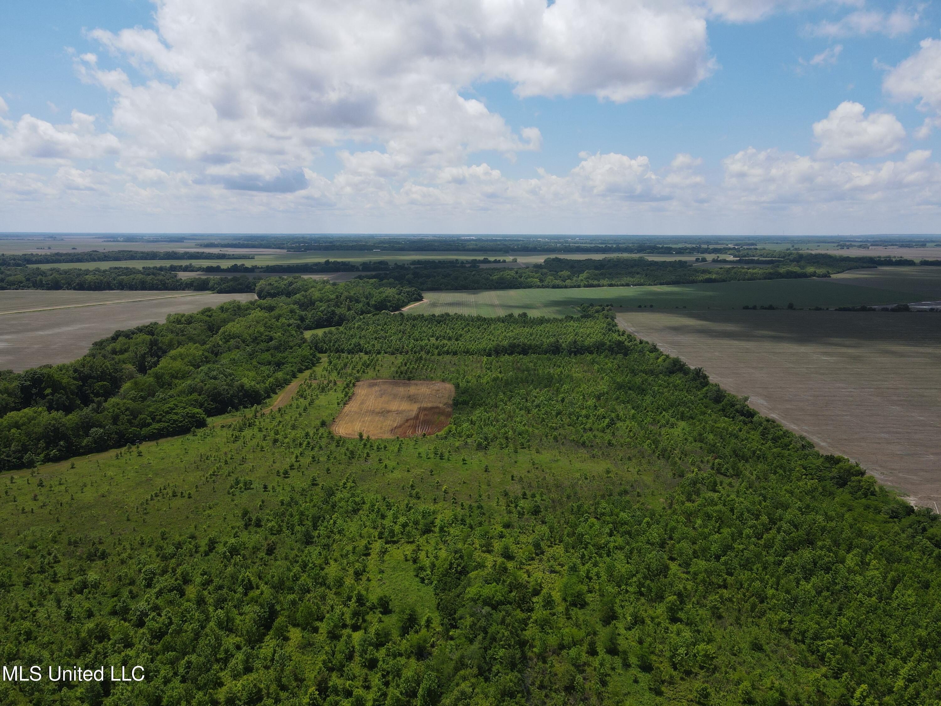 Brahan Road Coahoma, MS 38617 - Photo 44 of 49 Photo May 13 2025, 1 35 33 PM