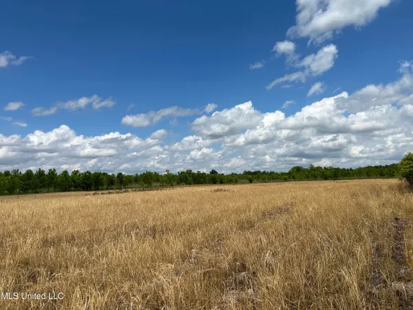 $543,725 | Brahan Road, Coahoma, MS 38617