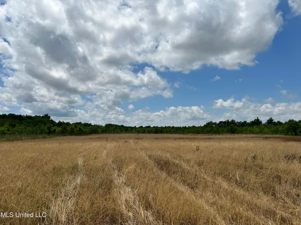 $543,725 | Brahan Road, Coahoma, MS 38617