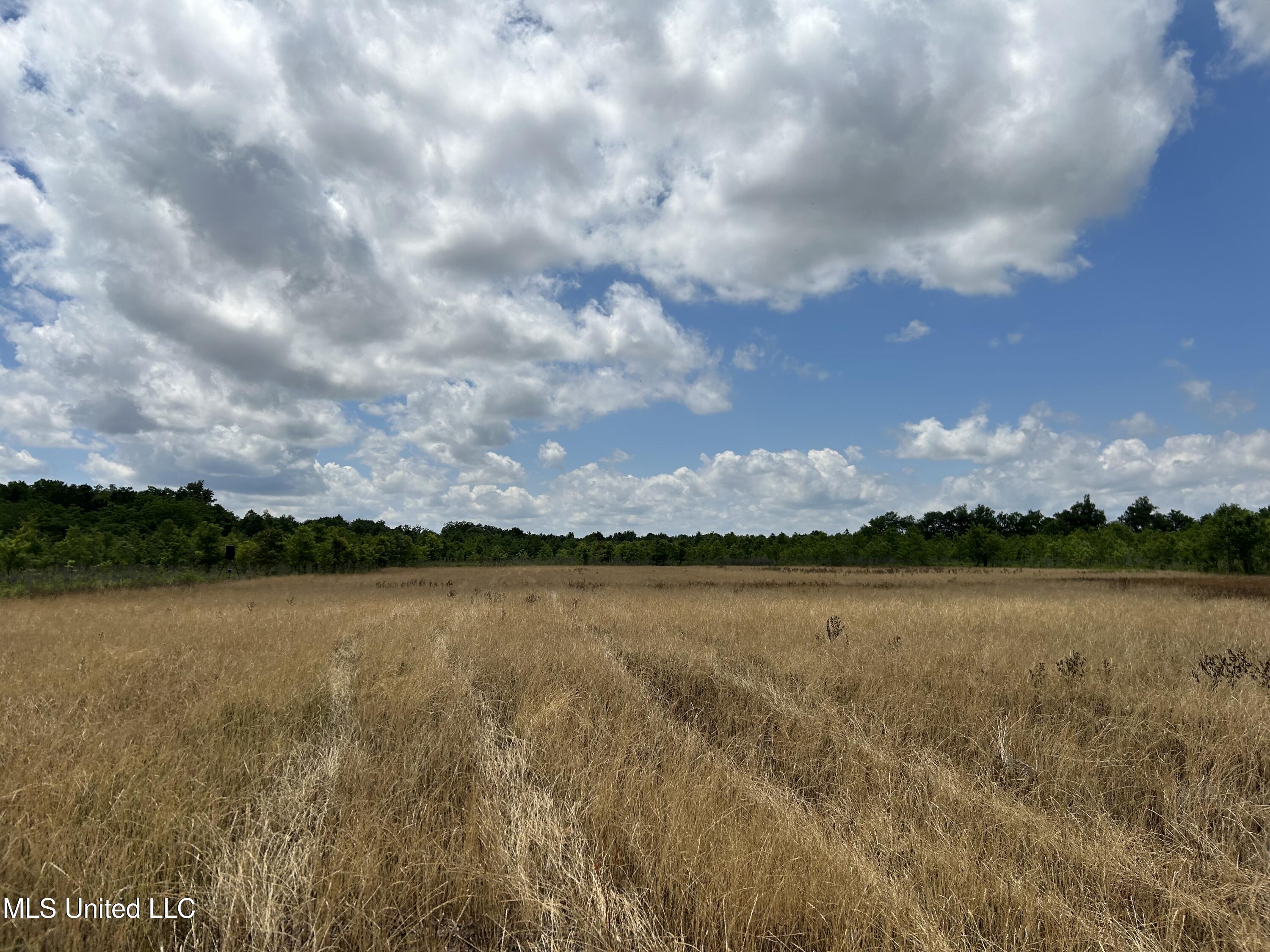 Brahan Road Coahoma, MS 38617 - Photo 47 of 49 Photo May 13 2025, 1 39 07 PM