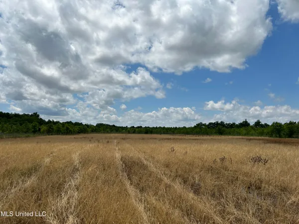 $543,725 | Brahan Road, Coahoma, MS 38617