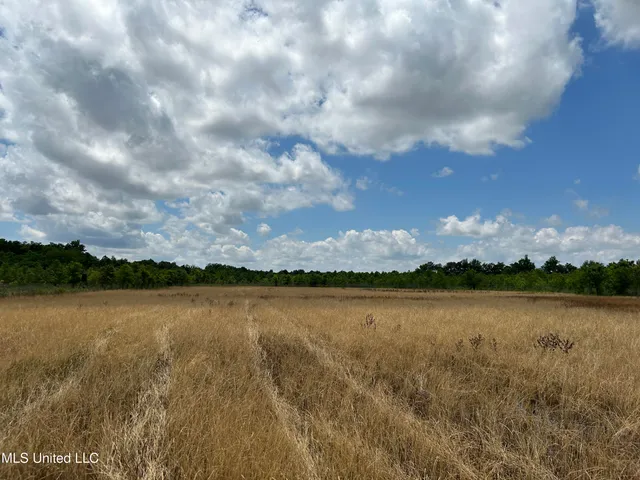 $543,725 | Brahan Road, Coahoma, MS 38617