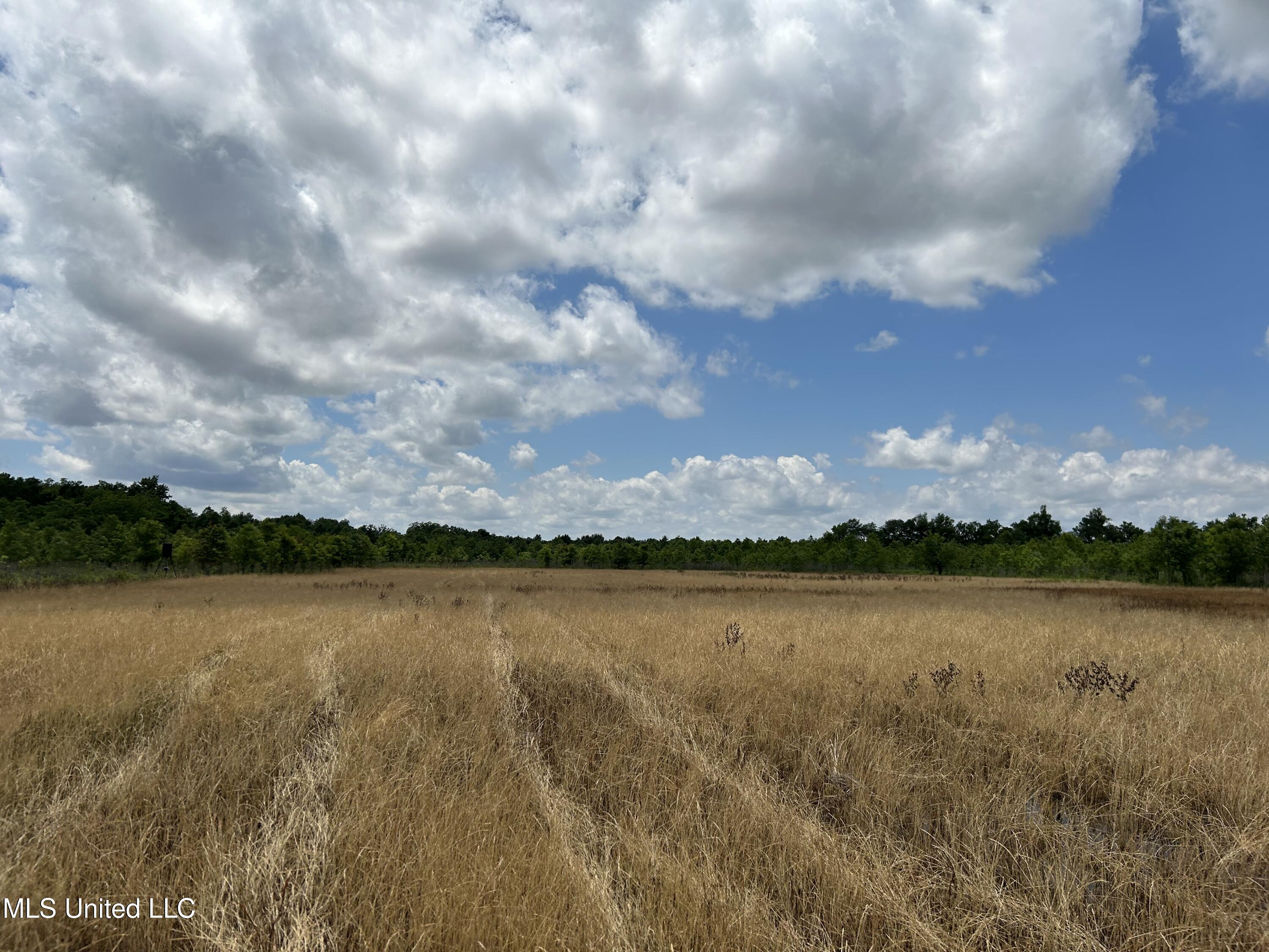 Brahan Road Coahoma, MS 38617 - Photo 48 of 49 Photo May 13 2025, 1 39 08 PM