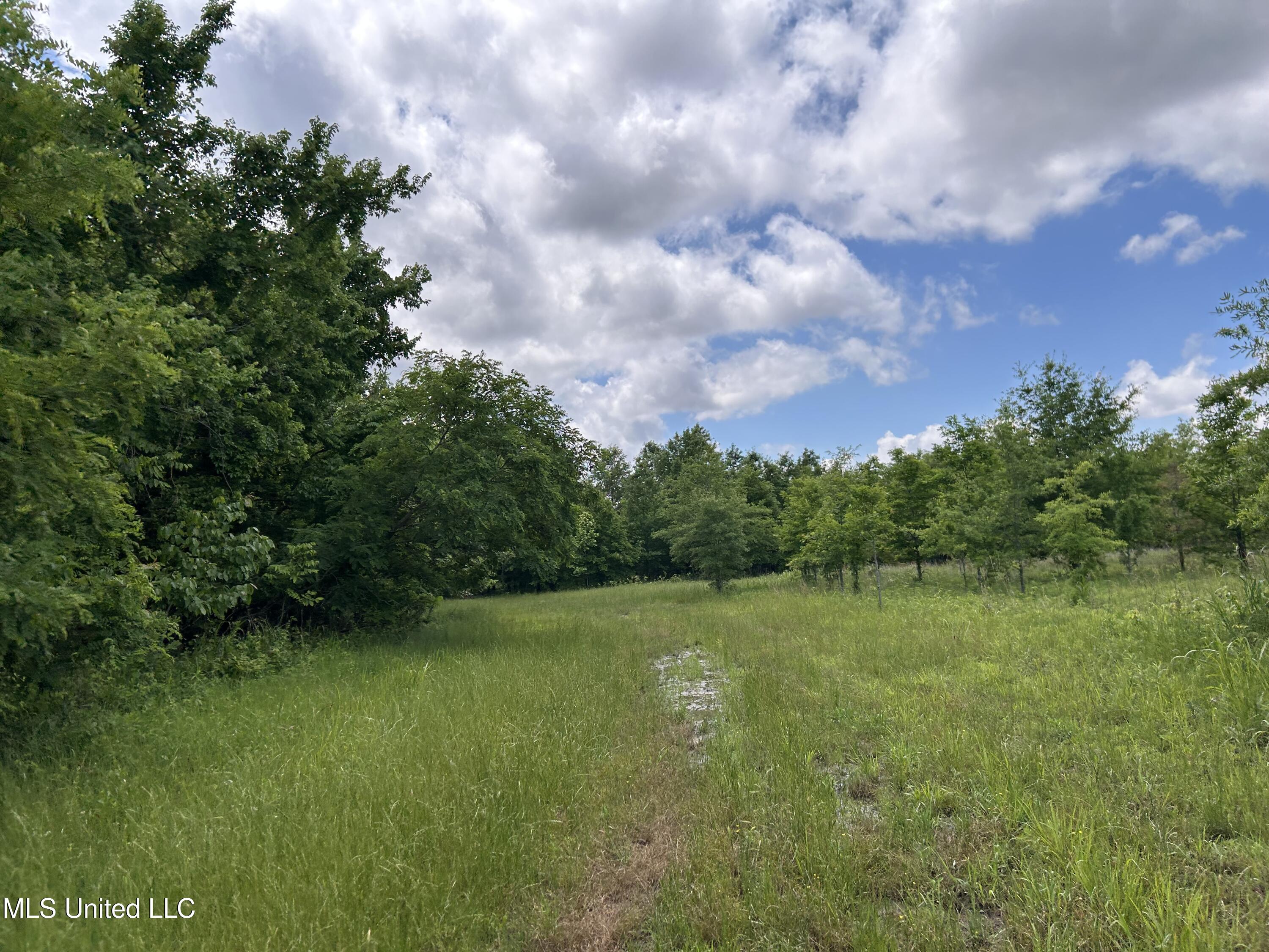 Brahan Road Coahoma, MS 38617 - Photo 49 of 49 Photo May 13 2025, 1 40 14 PM