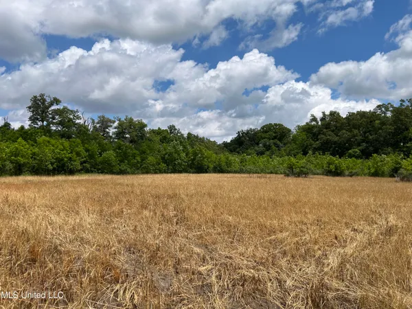 $543,725 | Brahan Road, Coahoma, MS 38617